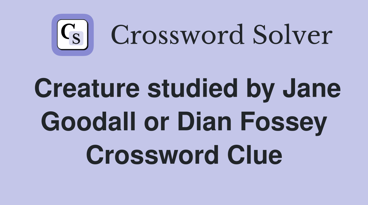 Creature studied by Jane Goodall or Dian Fossey Crossword Clue