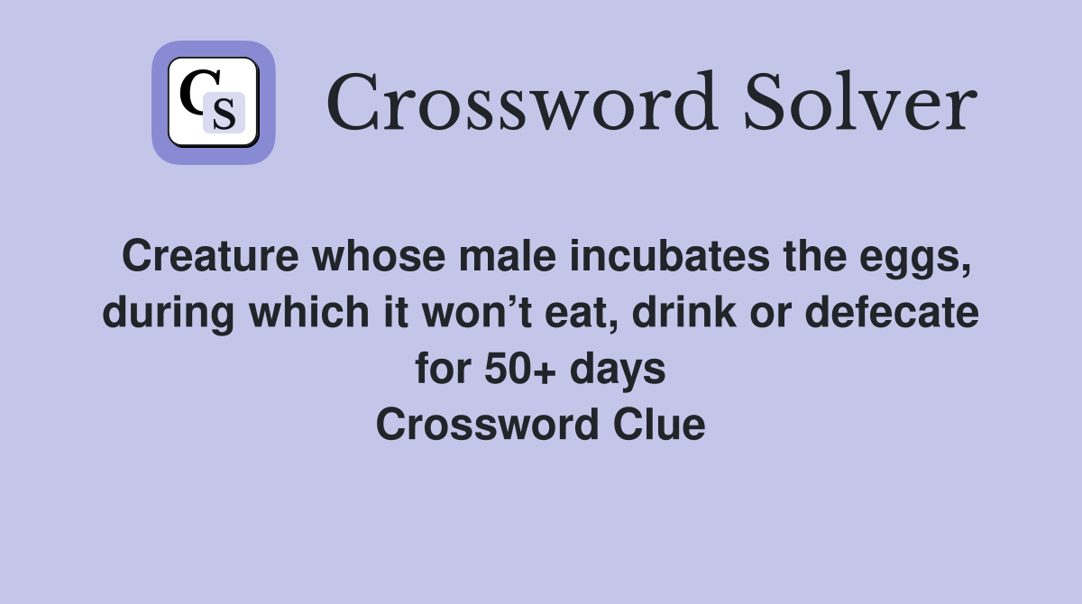 Creature whose male incubates the eggs, during which it won’t eat, drink or defecate for 50+ days Crossword Clue