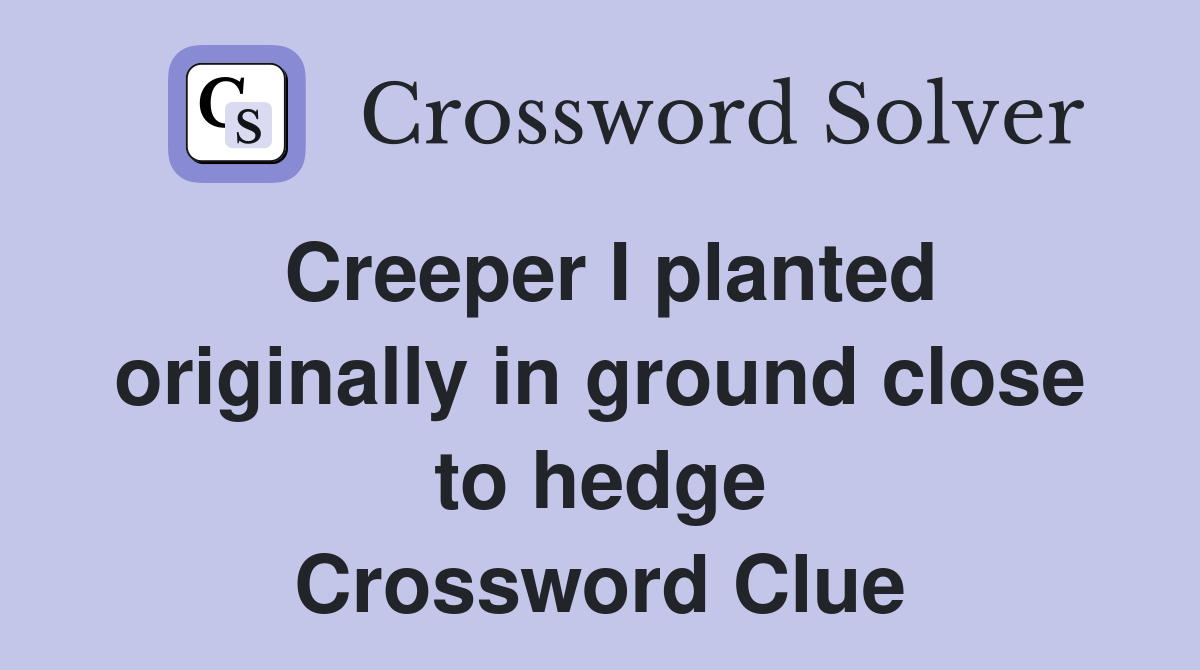 Creeper I planted originally in ground close to hedge Crossword Clue