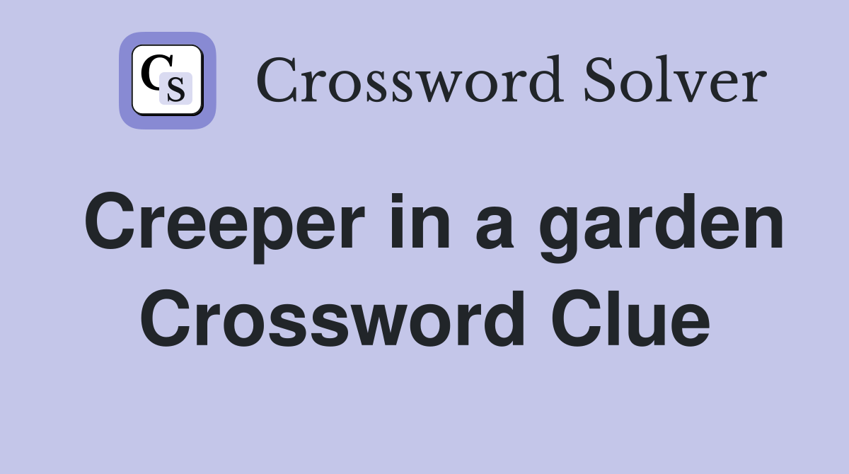 Creeper in a garden Crossword Clue