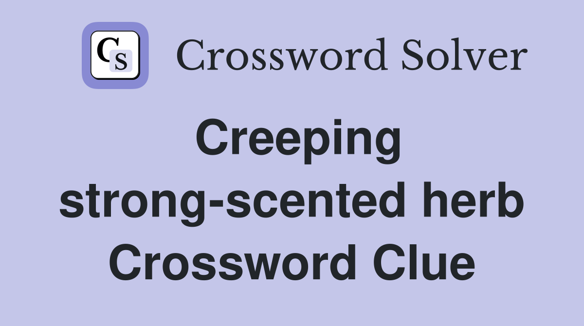Creeping strong-scented herb Crossword Clue
