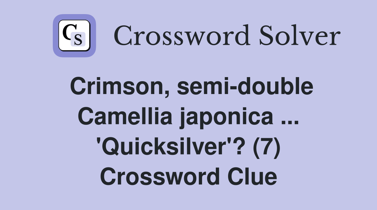 Crimson, semi-double Camellia japonica ... 'Quicksilver'? (7) Crossword Clue