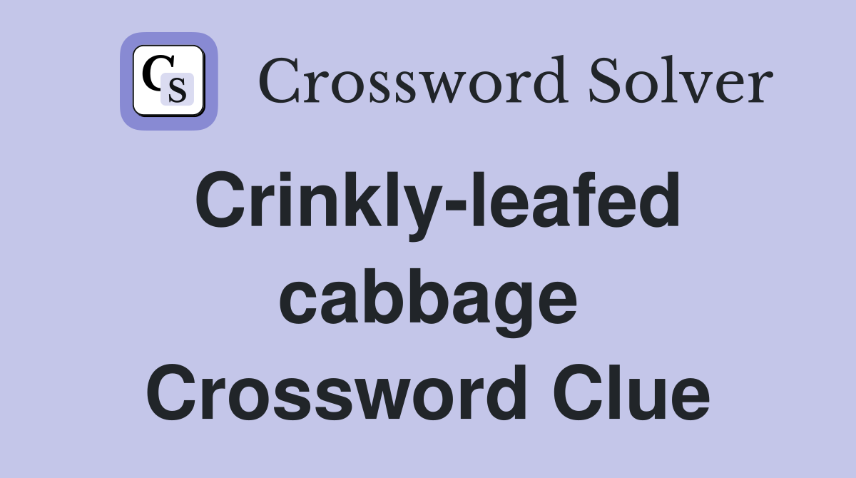 Crinkly-leafed cabbage Crossword Clue