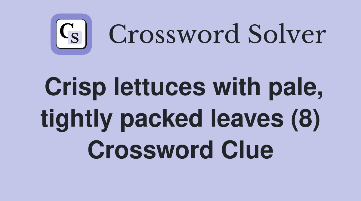 Crisp lettuces with pale, tightly packed leaves (8) Crossword Clue