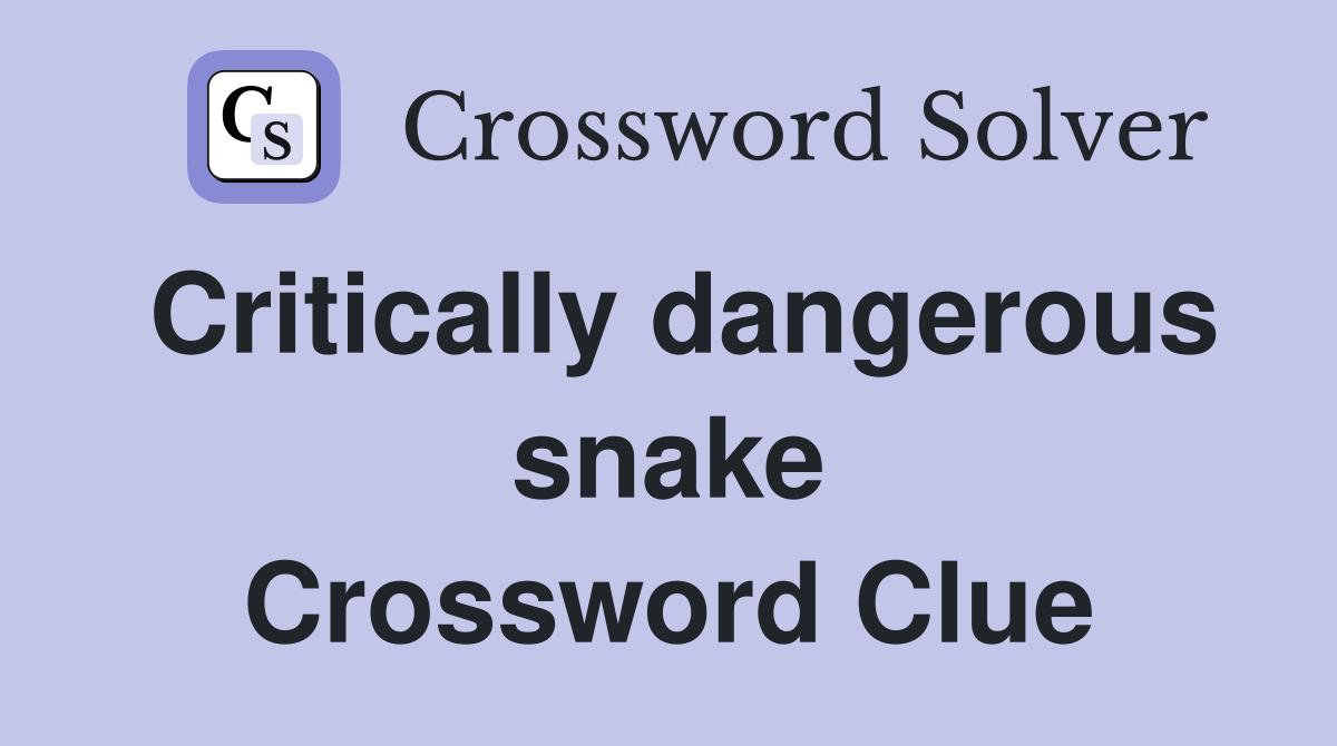 Critically dangerous snake Crossword Clue