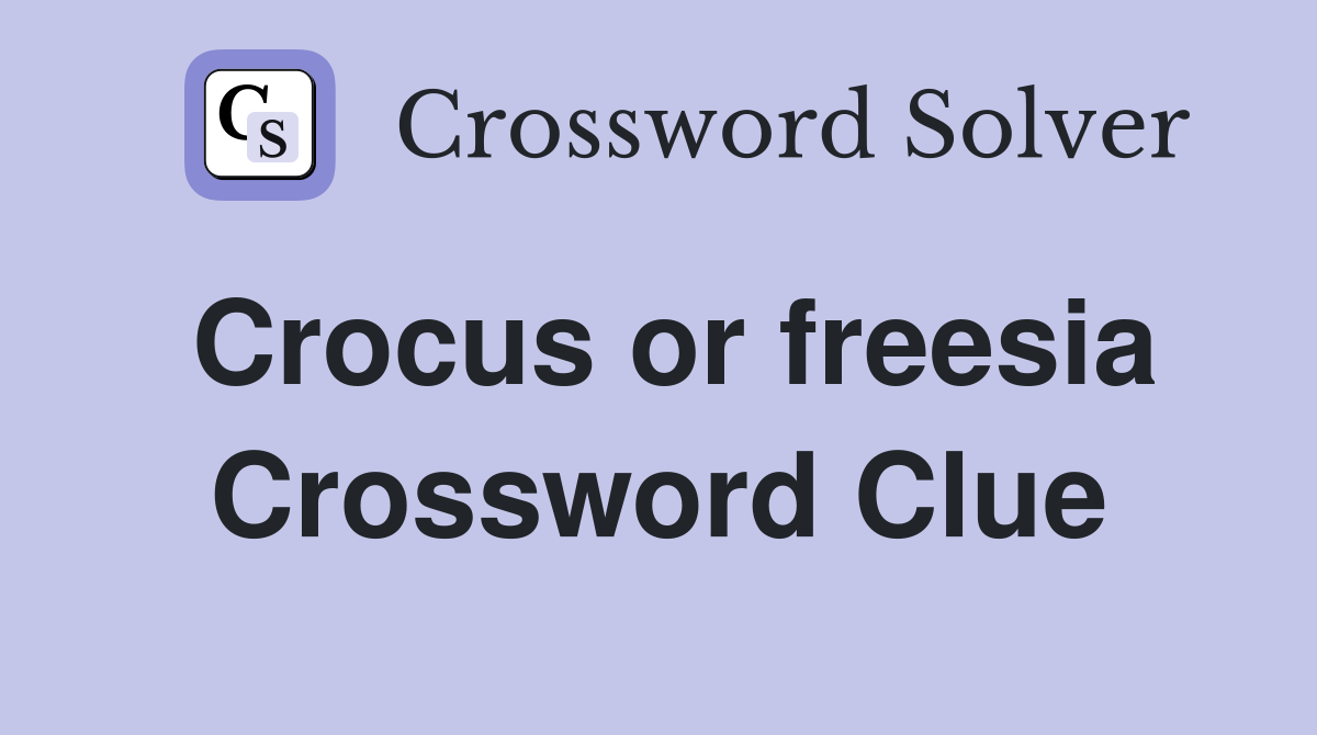 Crocus or freesia Crossword Clue