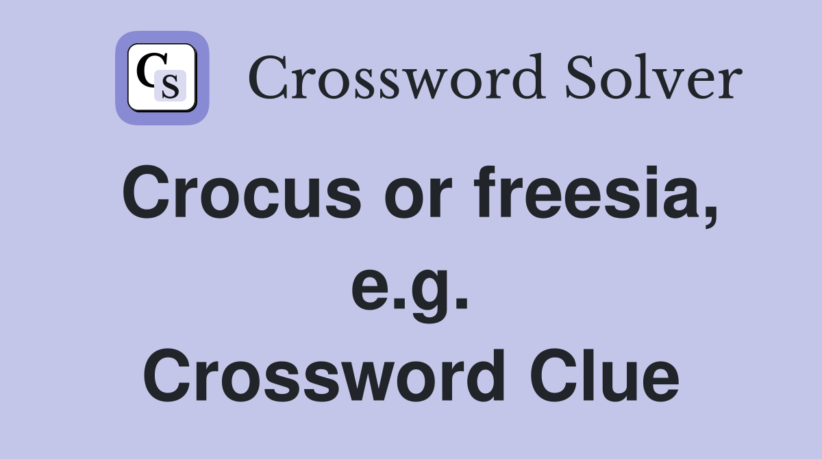 Crocus or freesia, e.g. Crossword Clue