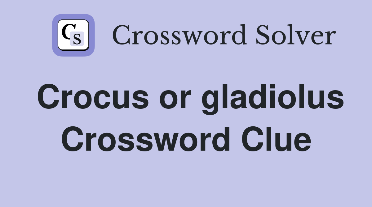 Crocus or gladiolus Crossword Clue
