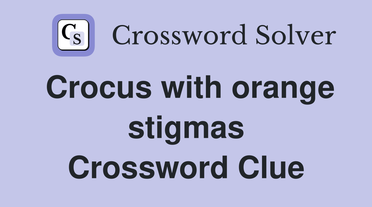 Crocus with orange stigmas Crossword Clue