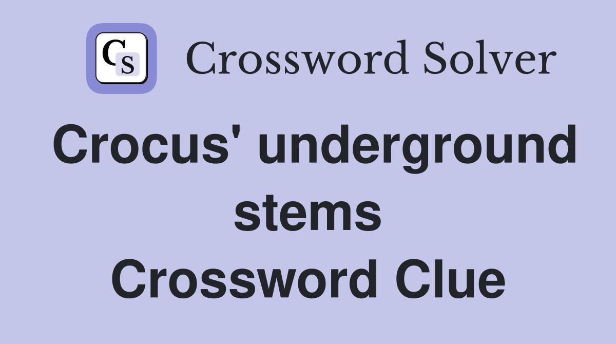 Crocus' underground stems Crossword Clue