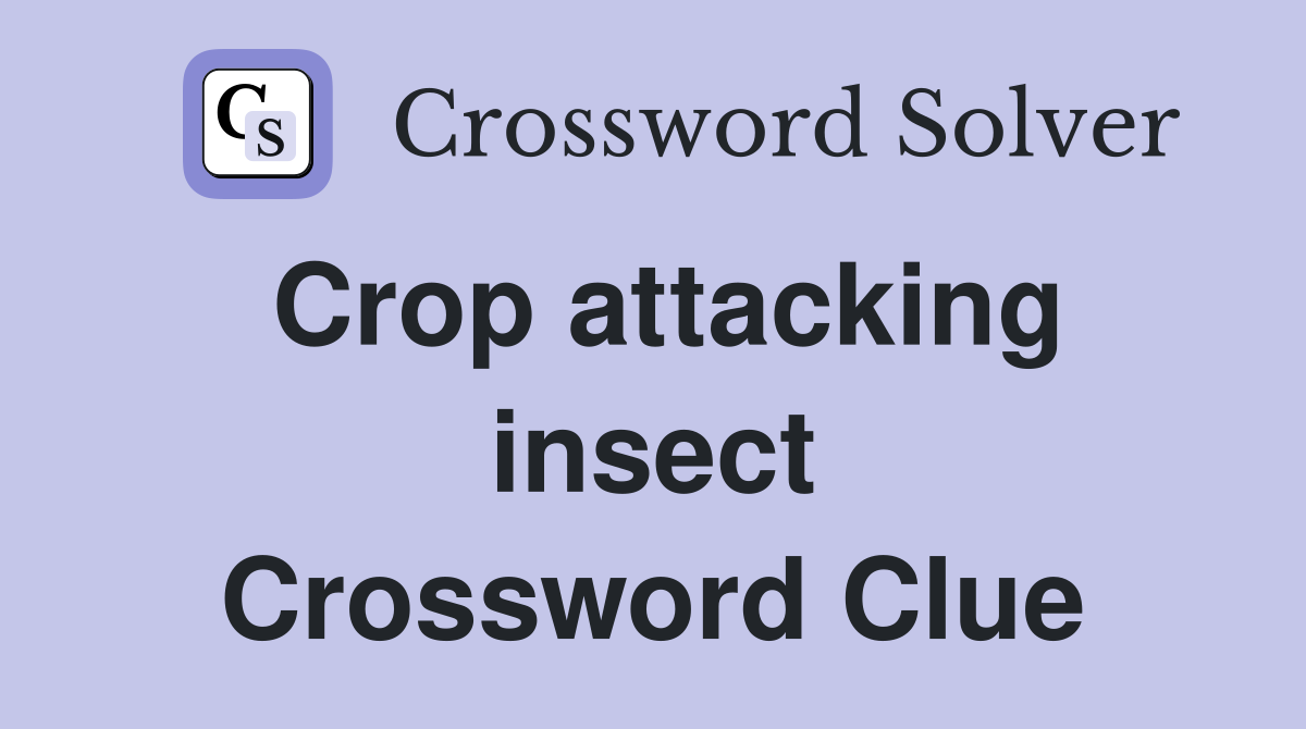 Crop attacking insect Crossword Clue