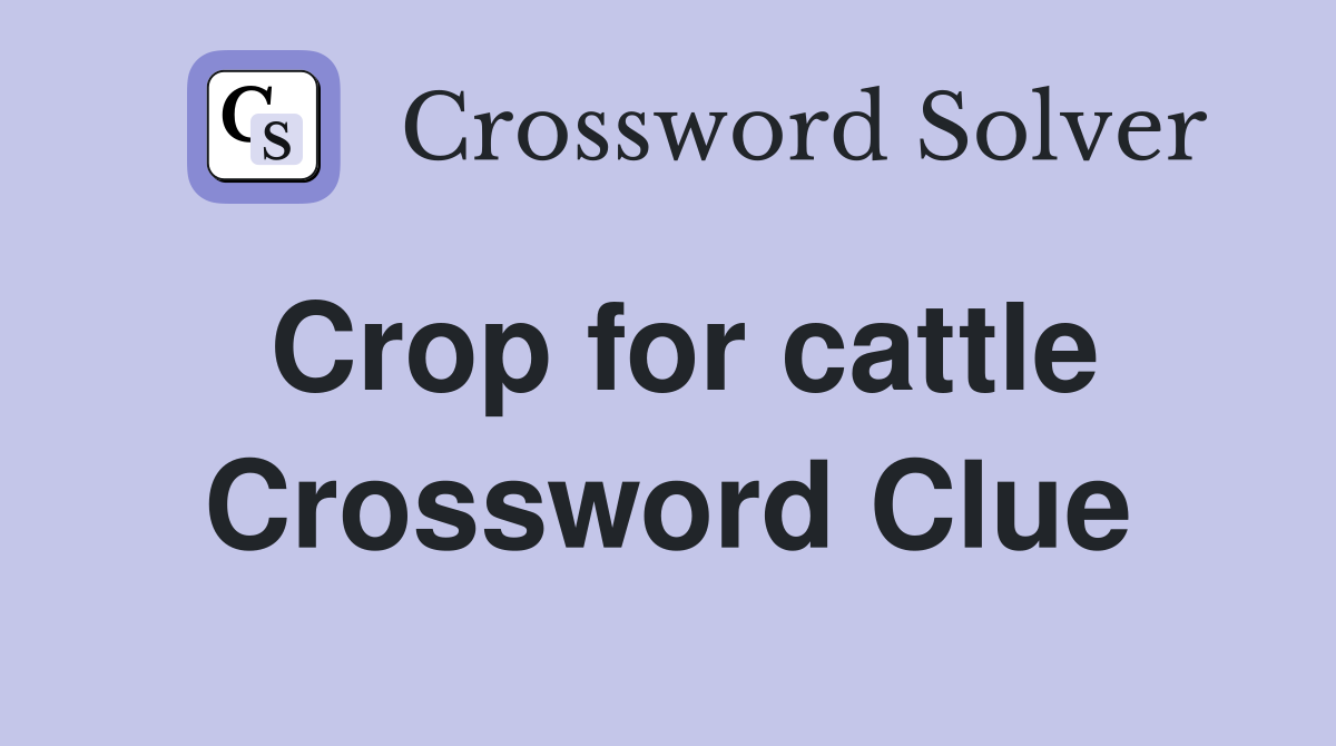 Crop for cattle Crossword Clue