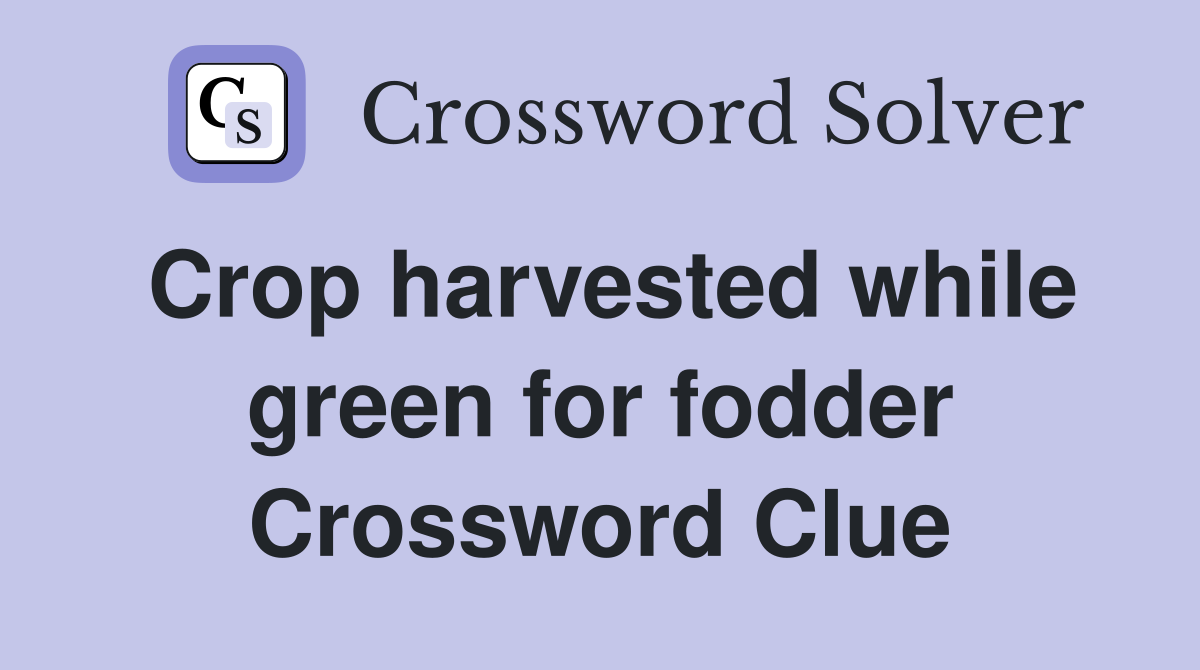 Crop harvested while green for fodder Crossword Clue