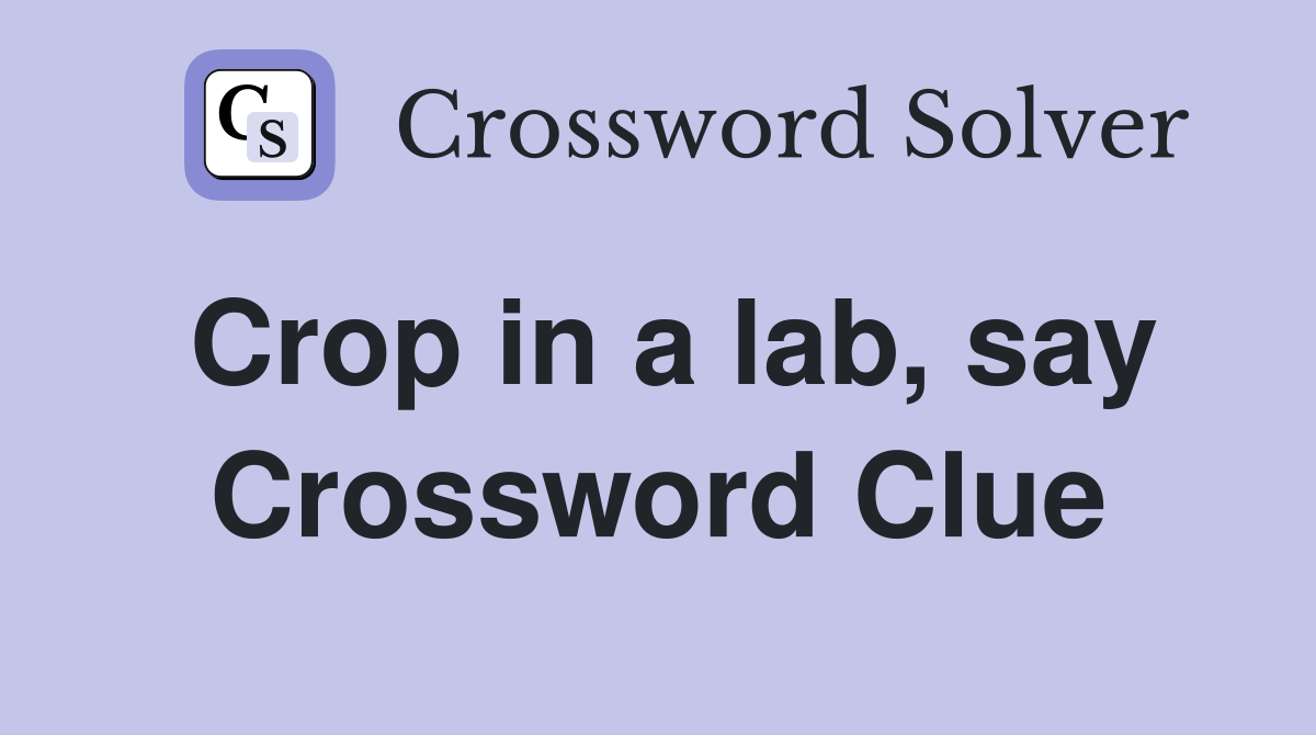 Crop in a lab, say Crossword Clue