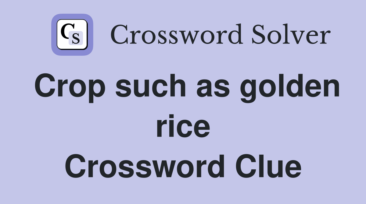 Crop such as golden rice Crossword Clue