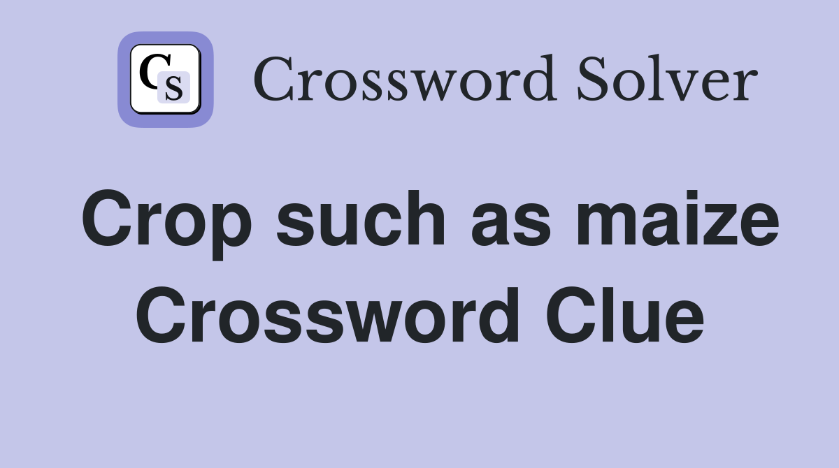 Crop such as maize Crossword Clue