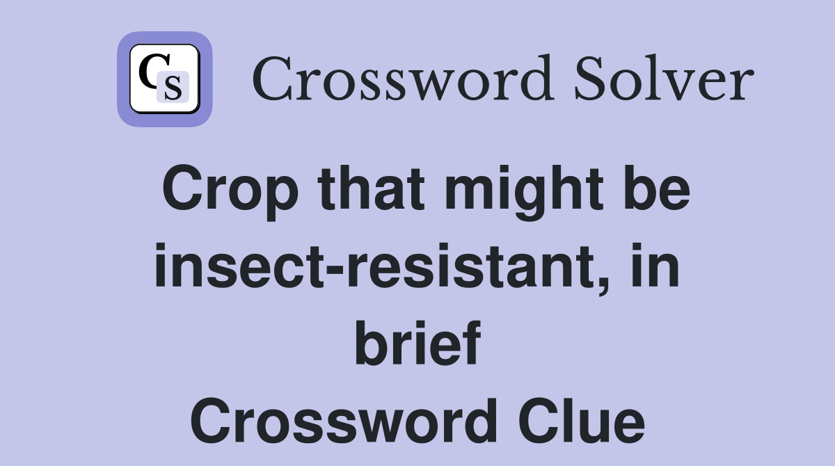Crop that might be insect-resistant, in brief Crossword Clue