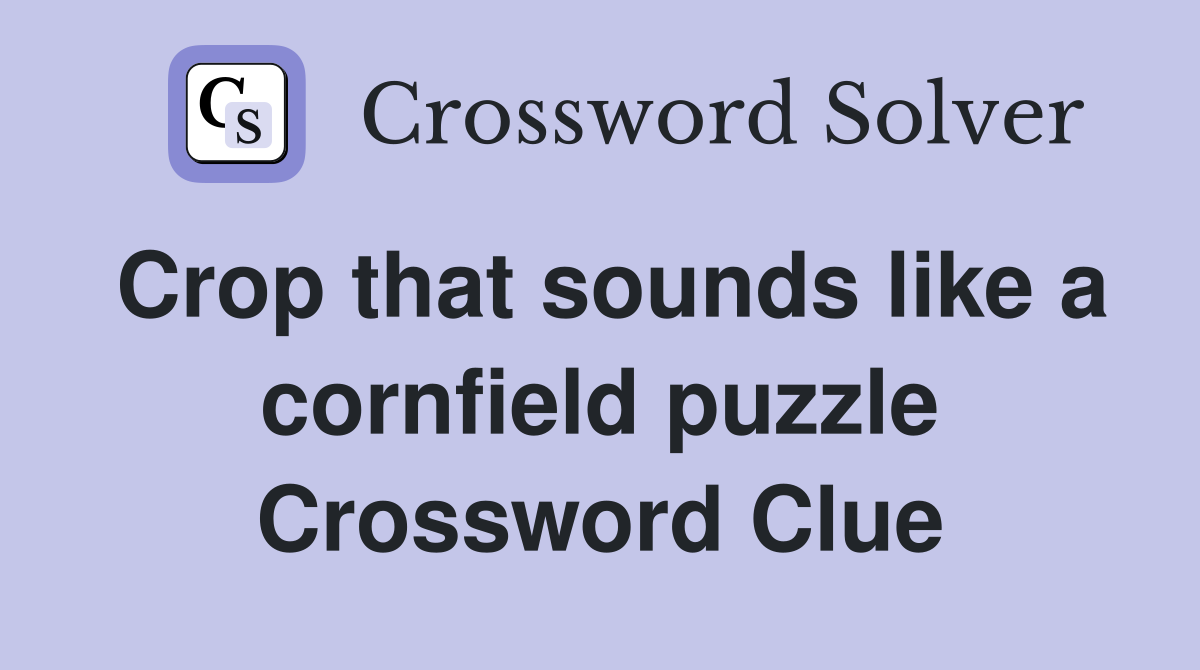 Crop that sounds like a cornfield puzzle Crossword Clue