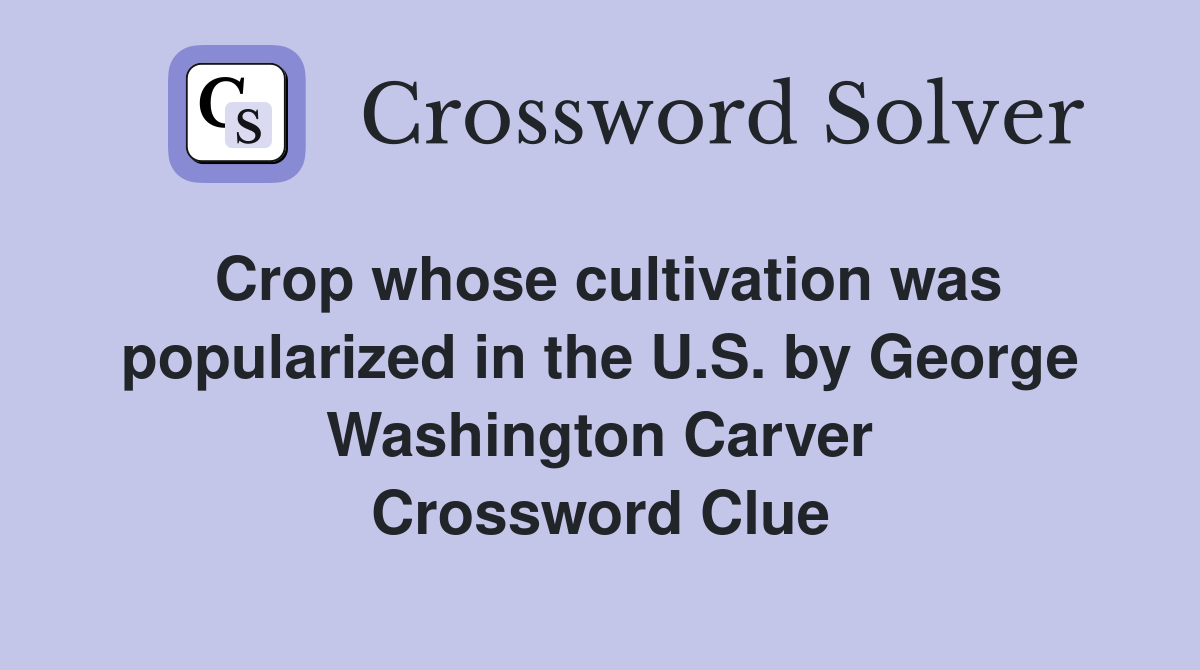 Crop whose cultivation was popularized in the U.S. by George Washington Carver Crossword Clue