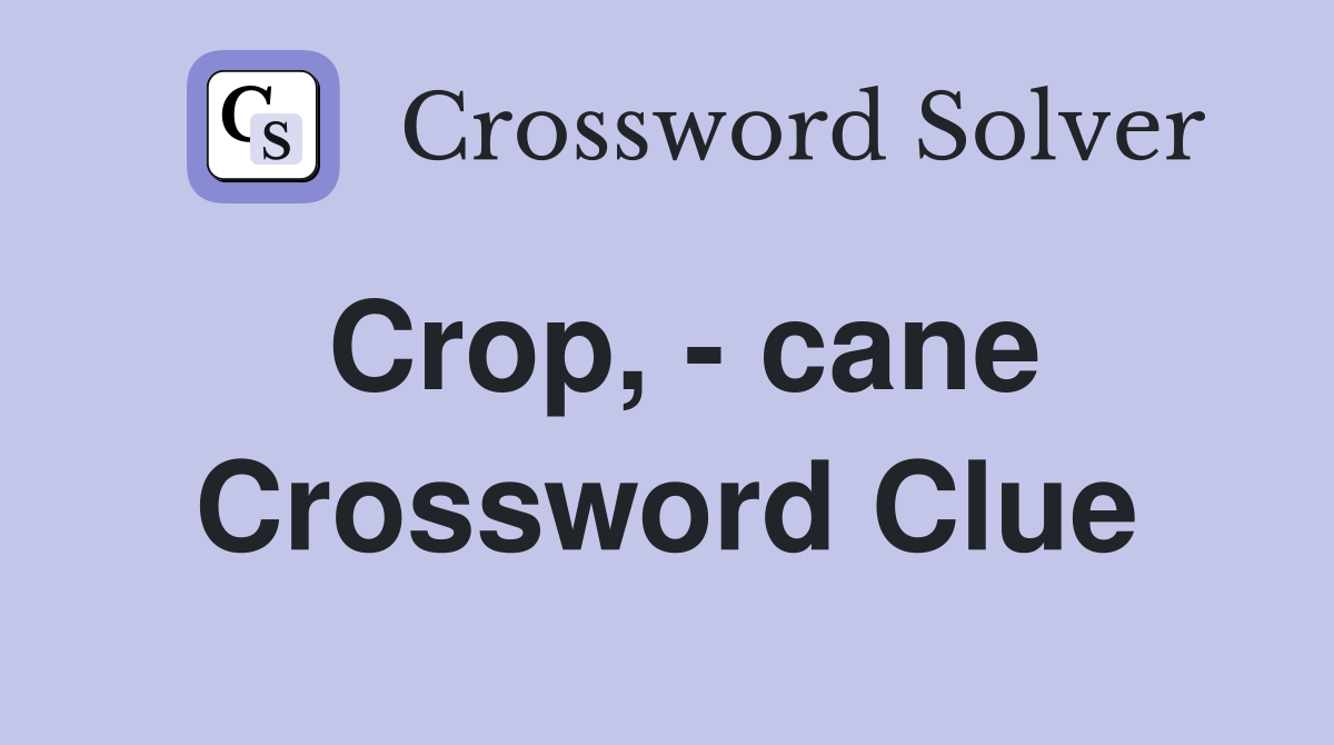 Crop, - cane Crossword Clue