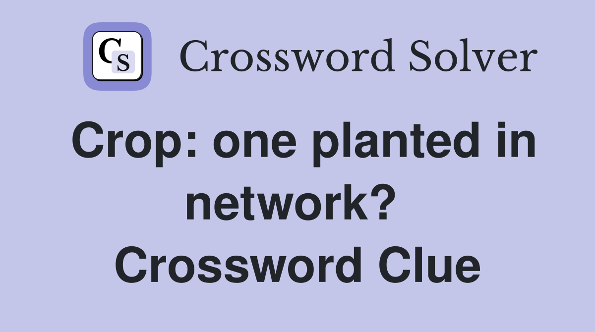 Crop: one planted in network?  Crossword Clue