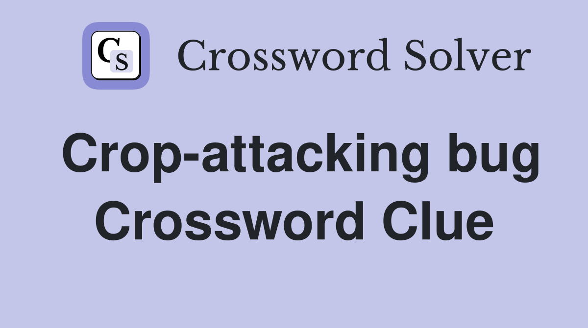 Crop-attacking bug Crossword Clue