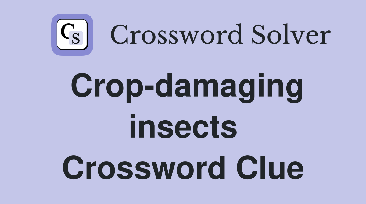 Crop-damaging insects Crossword Clue