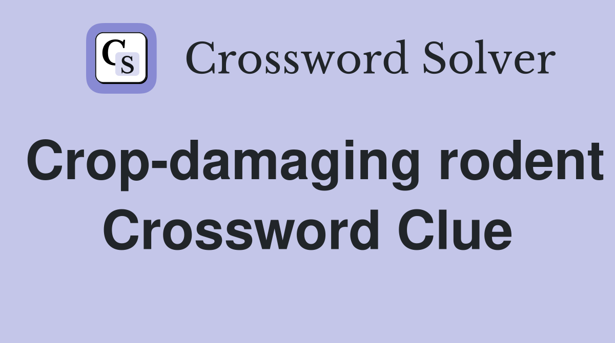 Crop-damaging rodent Crossword Clue