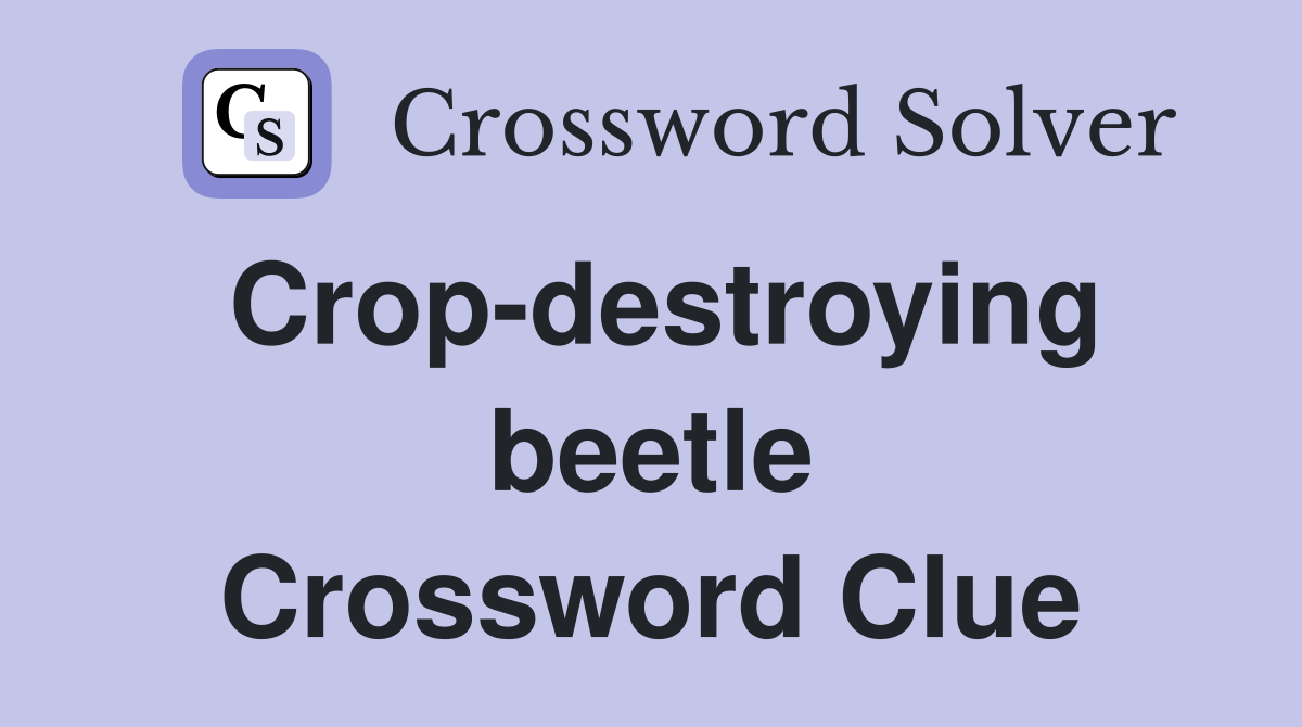 Crop-destroying beetle Crossword Clue