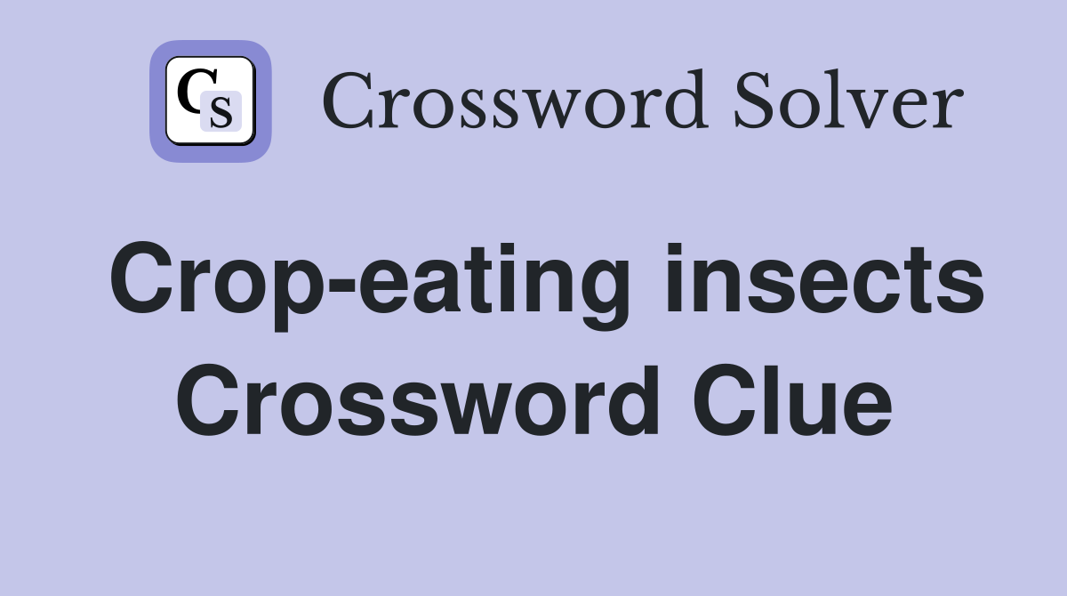 Crop-eating insects Crossword Clue