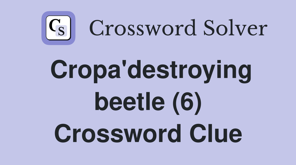 Cropa'destroying beetle (6) Crossword Clue