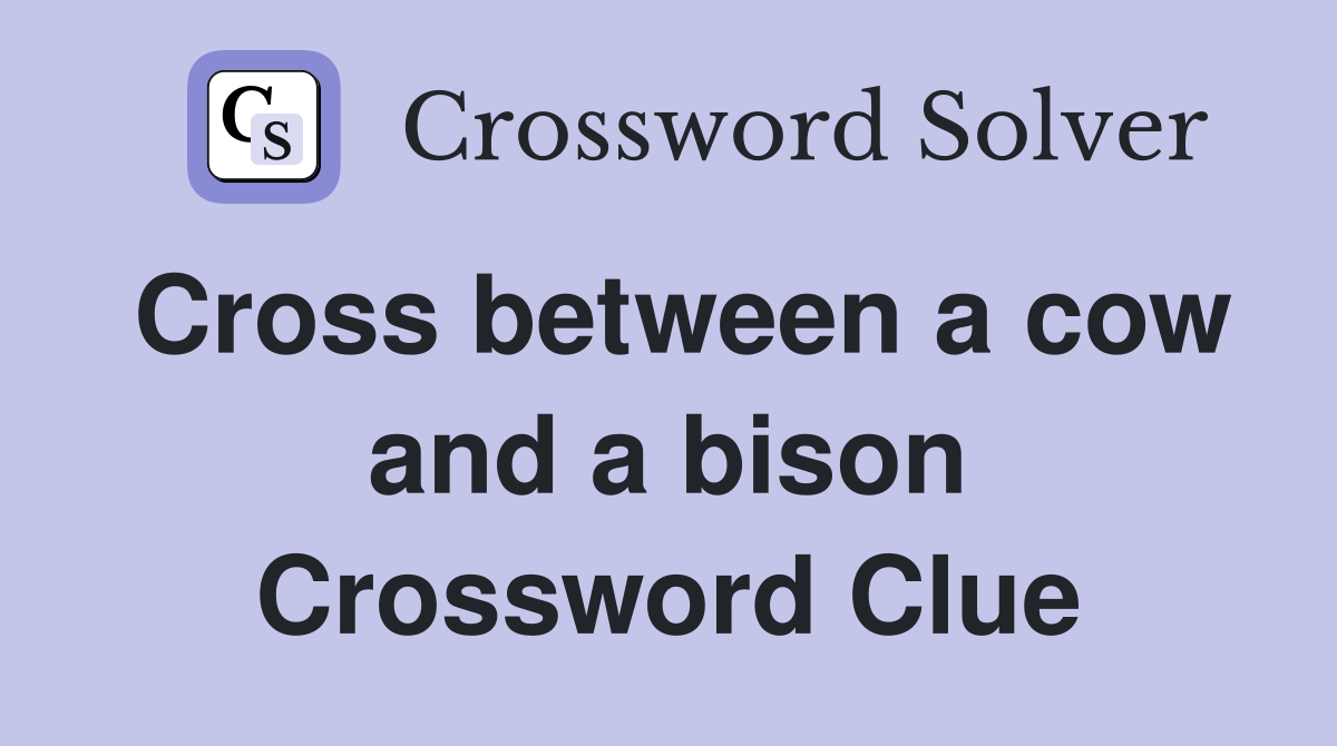 Cross between a cow and a bison Crossword Clue