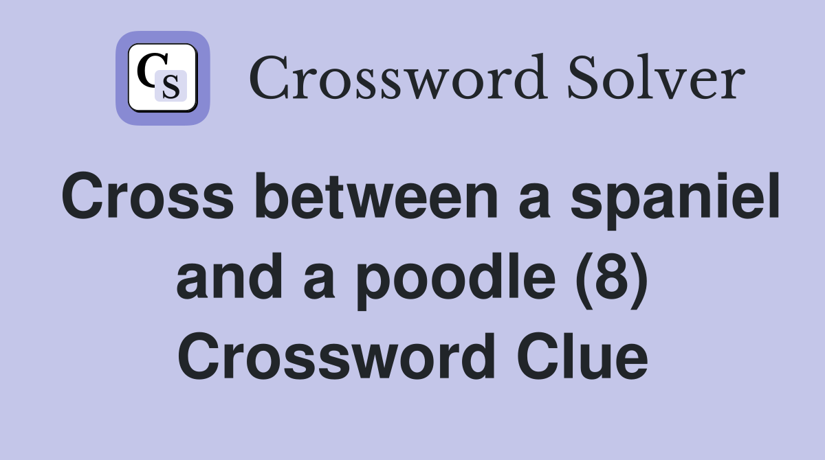 Cross between a spaniel and a poodle (8) Crossword Clue
