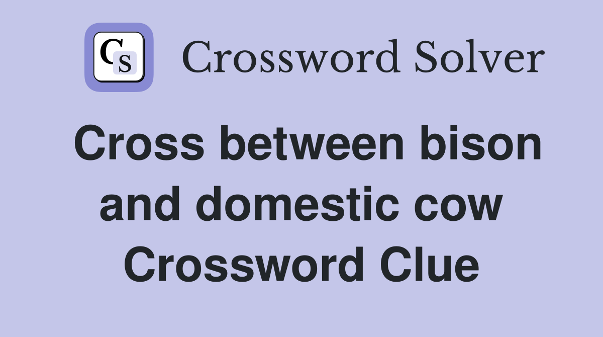 Cross between bison and domestic cow Crossword Clue