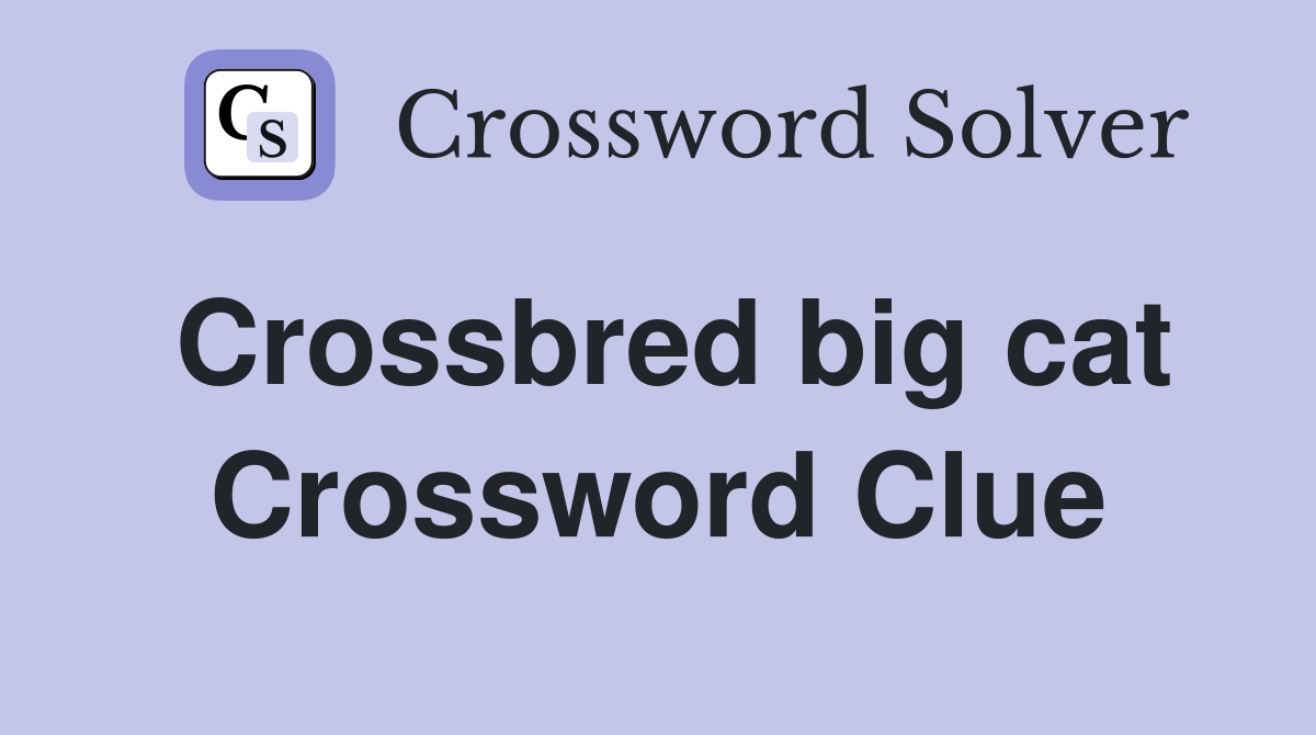 Crossbred big cat Crossword Clue