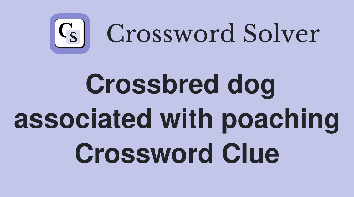 Crossbred dog associated with poaching Crossword Clue
