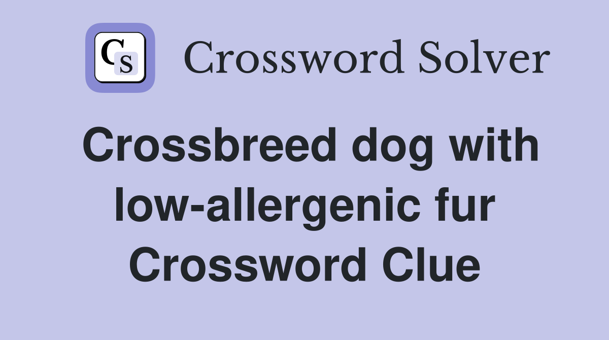 Crossbreed dog with low-allergenic fur Crossword Clue