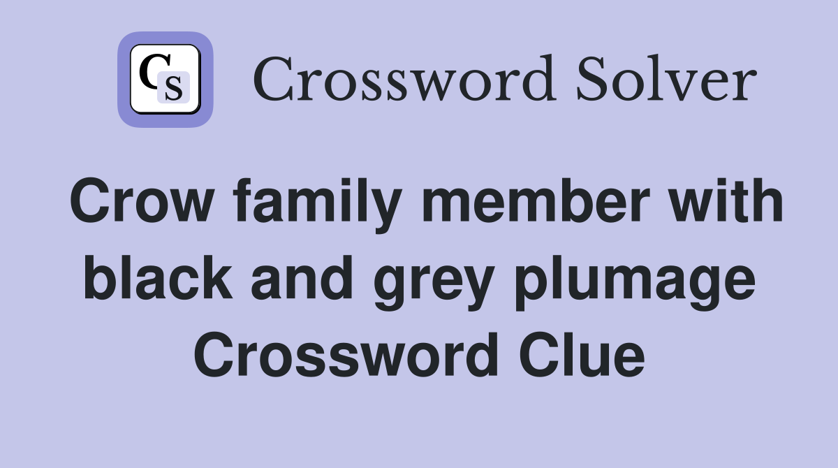 Crow family member with black and grey plumage Crossword Clue