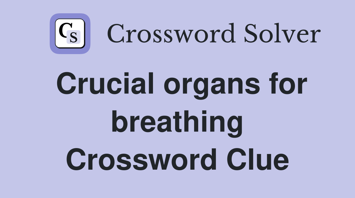 Crucial organs for breathing Crossword Clue