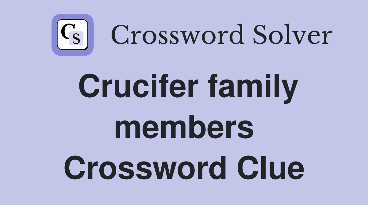 Crucifer family members Crossword Clue