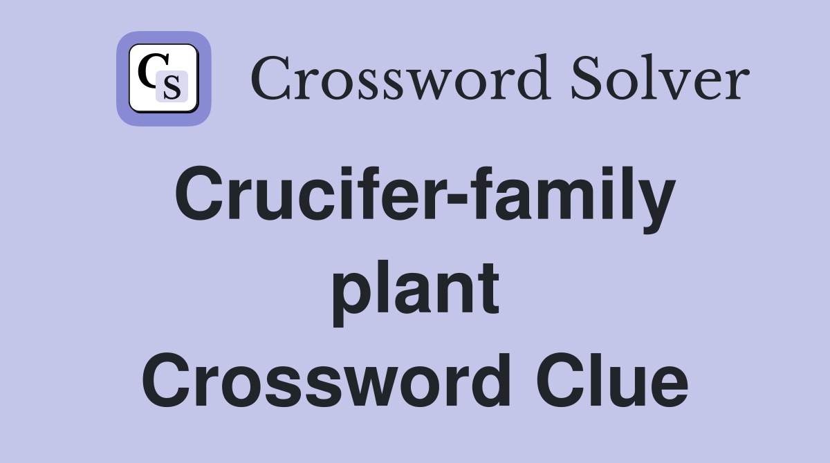 Crucifer-family plant Crossword Clue