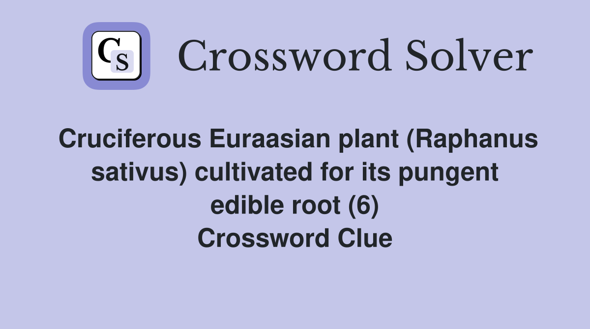 Cruciferous Euraasian plant (Raphanus sativus) cultivated for its pungent edible root (6) Crossword Clue