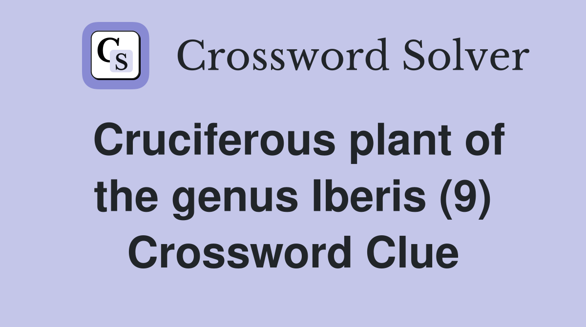 Cruciferous plant of the genus Iberis (9) Crossword Clue