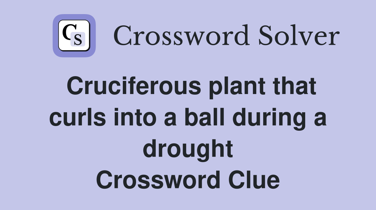 Cruciferous plant that curls into a ball during a drought Crossword Clue
