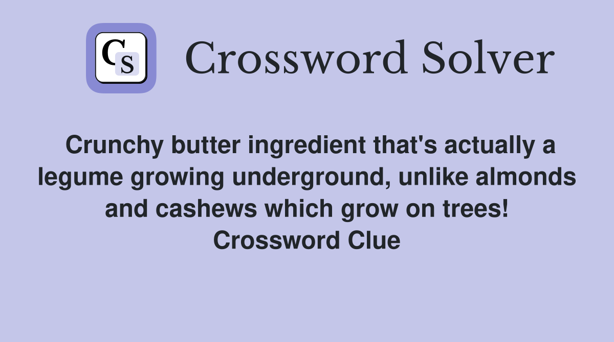 Crunchy butter ingredient that's actually a legume growing underground, unlike almonds and cashews which grow on trees! Crossword Clue
