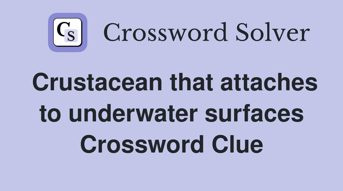 Crustacean that attaches to underwater surfaces Crossword Clue