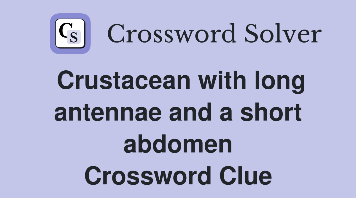 Crustacean with long antennae and a short abdomen Crossword Clue