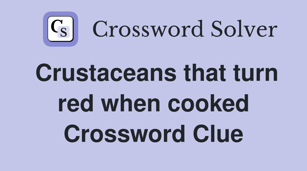 Crustaceans that turn red when cooked Crossword Clue