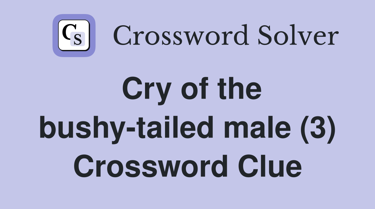 Cry of the bushy-tailed male (3) Crossword Clue