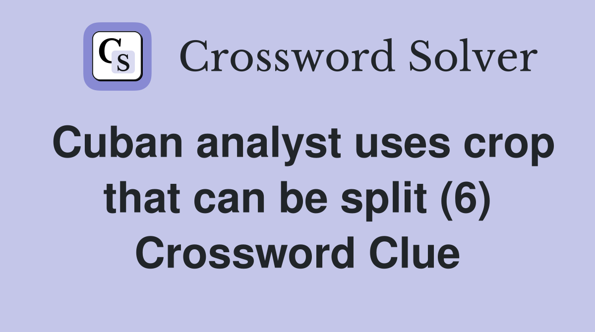Cuban analyst uses crop that can be split (6) Crossword Clue